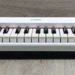 Yamaha Piaggero NP-32