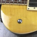 ESP LTD EC-256 FM LD + EMG 57/66 e Kill Switch