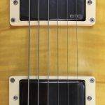 ESP LTD EC-256 FM LD + EMG 57/66 e Kill Switch