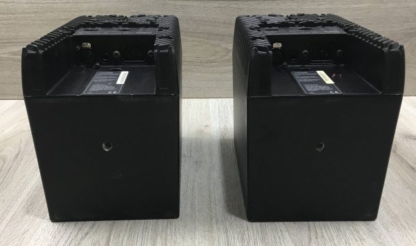 Genelec 1029A coppia