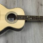 Harley Benton CLF 200 NT