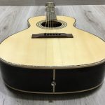 Harley Benton CLF 200 NT