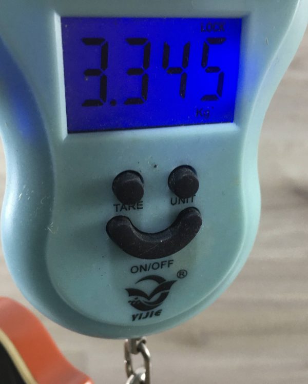 Ibanez AS63-TLO 5B-01