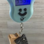 Ibanez RG570 Metallic Purple Made in Japan