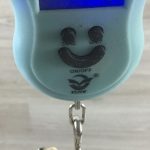 Ibanez S540LTD Emerald Green