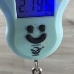 Ovation Applause Elite AE44 Mid Cutaway