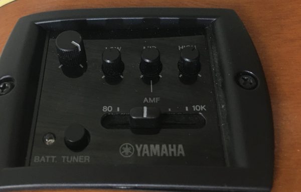 Yamaha CPX600