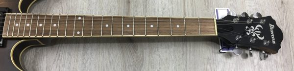 Ibanez AS53-TF 5B-05